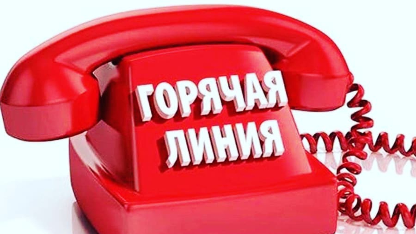 1281 n1848822 big